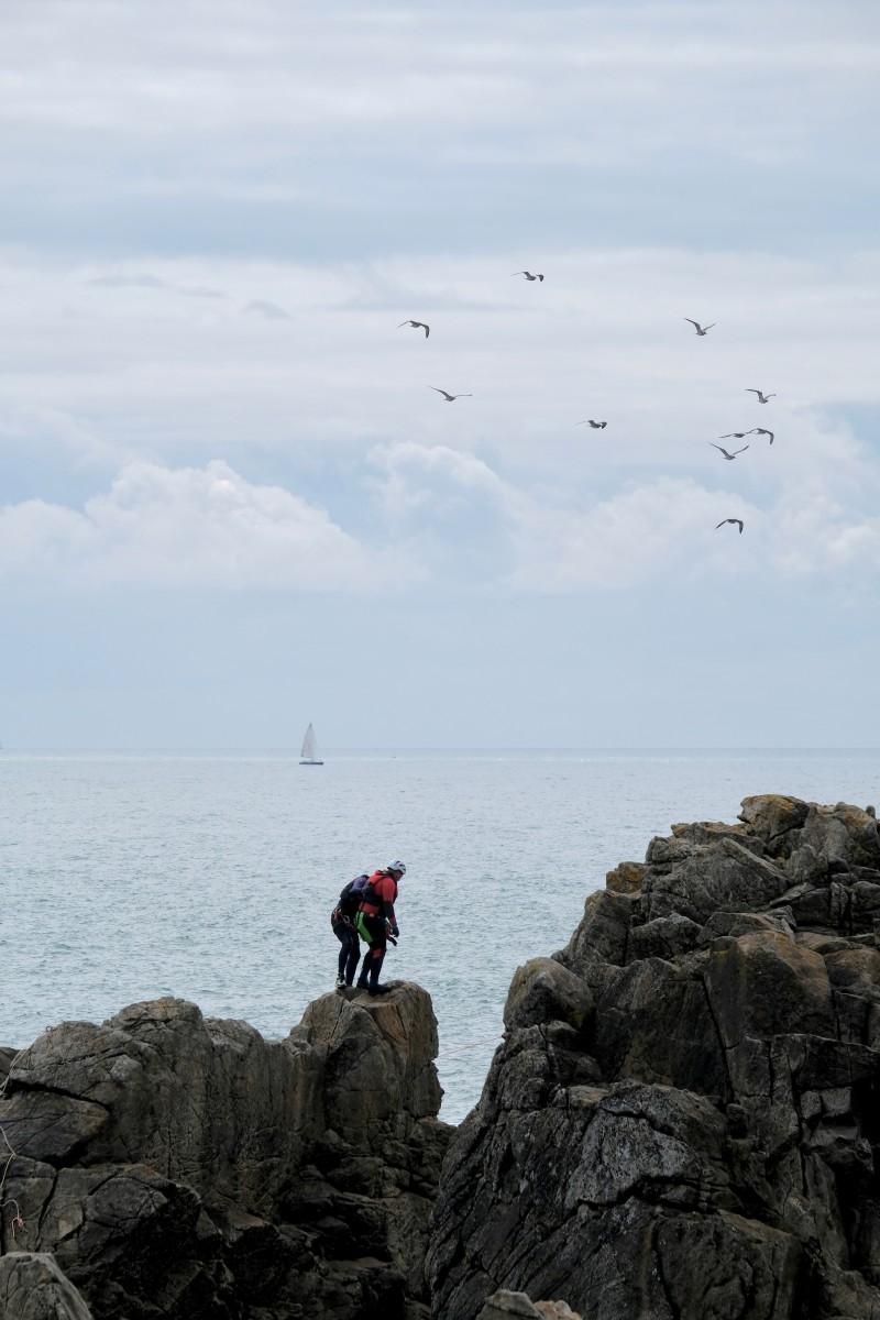 Les oiseaux, de Eve Pinel The Art Cycle