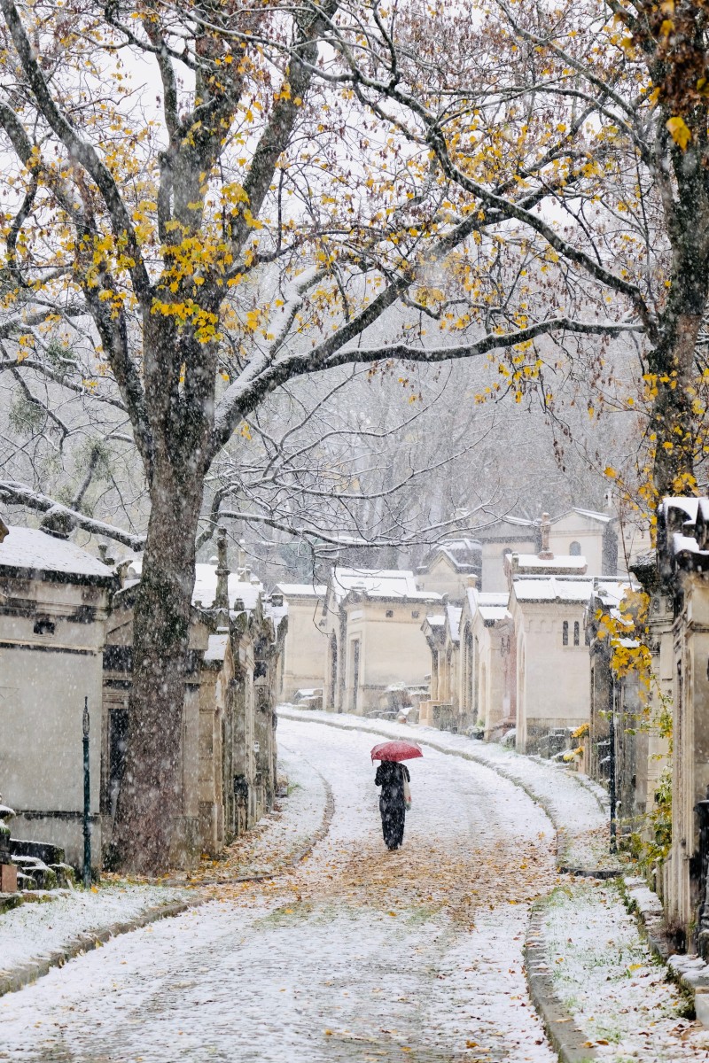 Neige d'automne, de Eve Pinel The Art Cycle