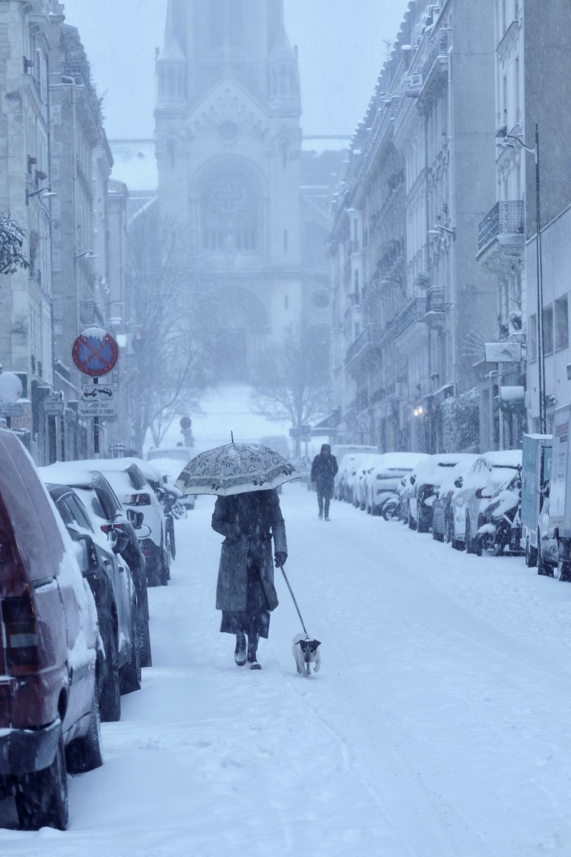 Un hiver à Belleville, de Eve Pinel The Art Cycle