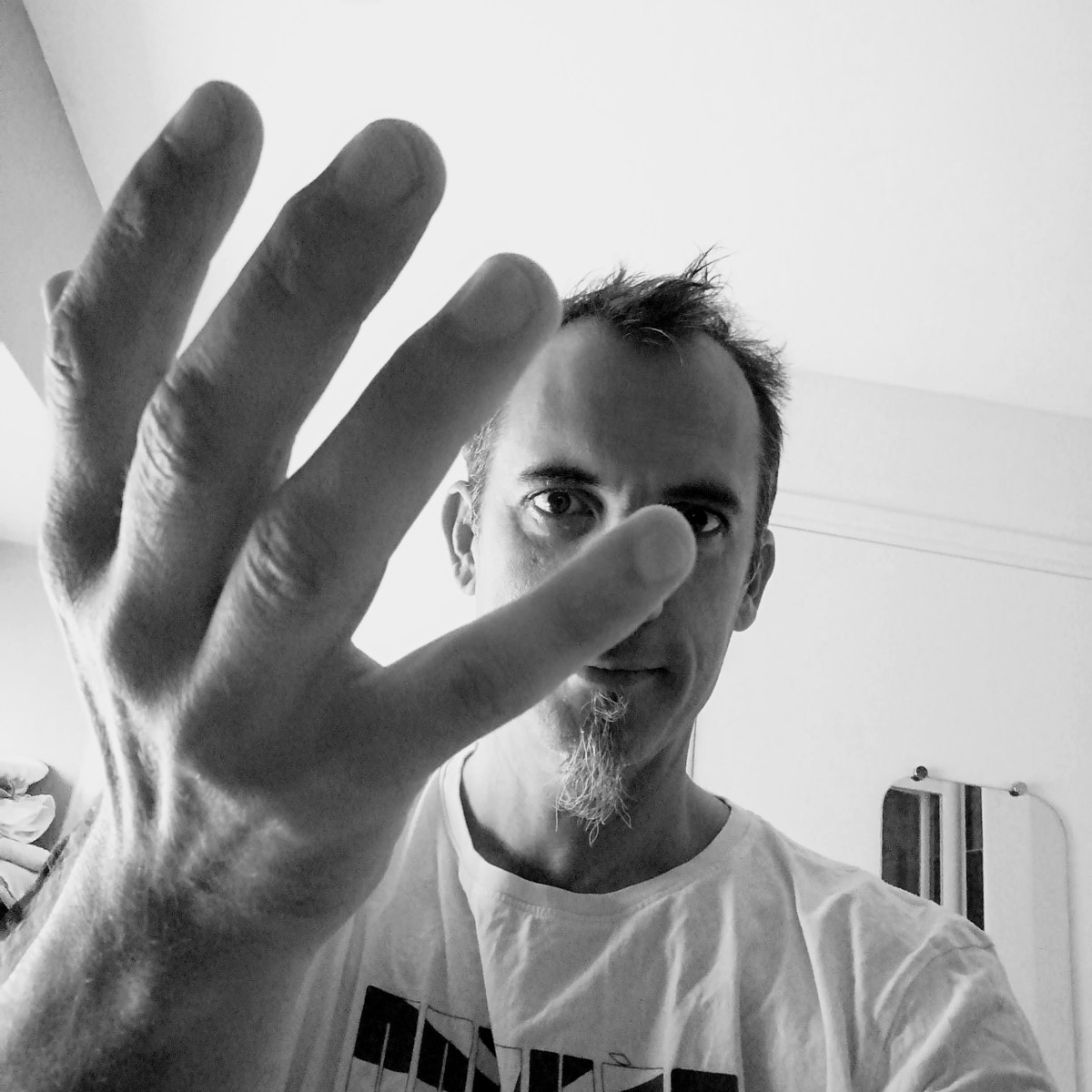 à la rencontre de l'artiste
                     Fabien Mahaut                