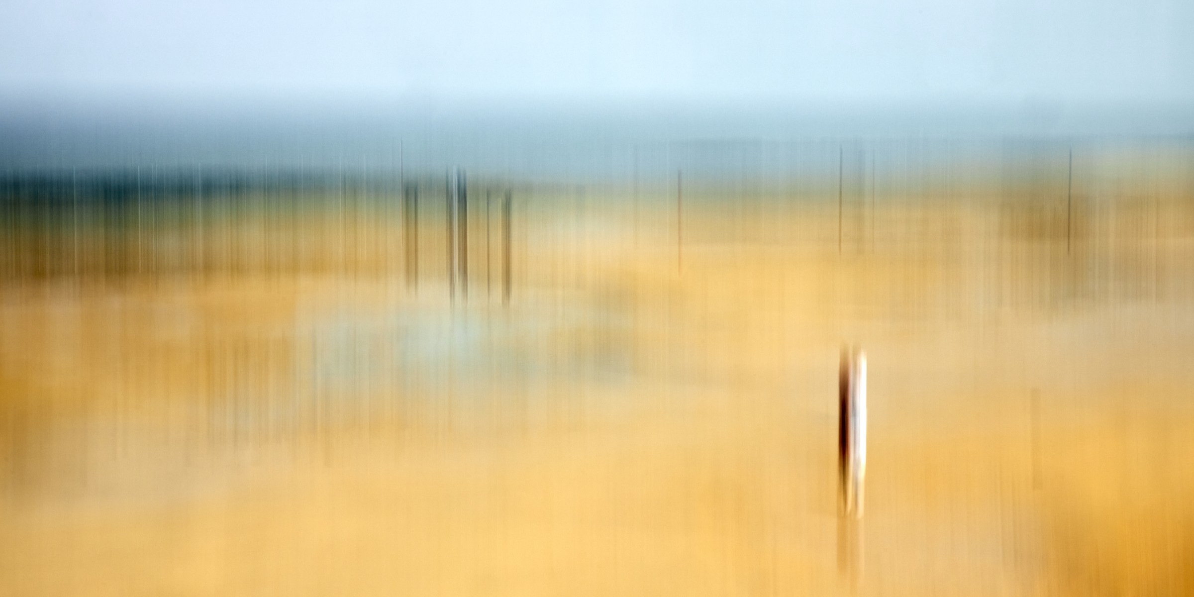 fabienmahaut promeneurs theartcycle photo_principale 1143110031.jpeg The Art Cycle