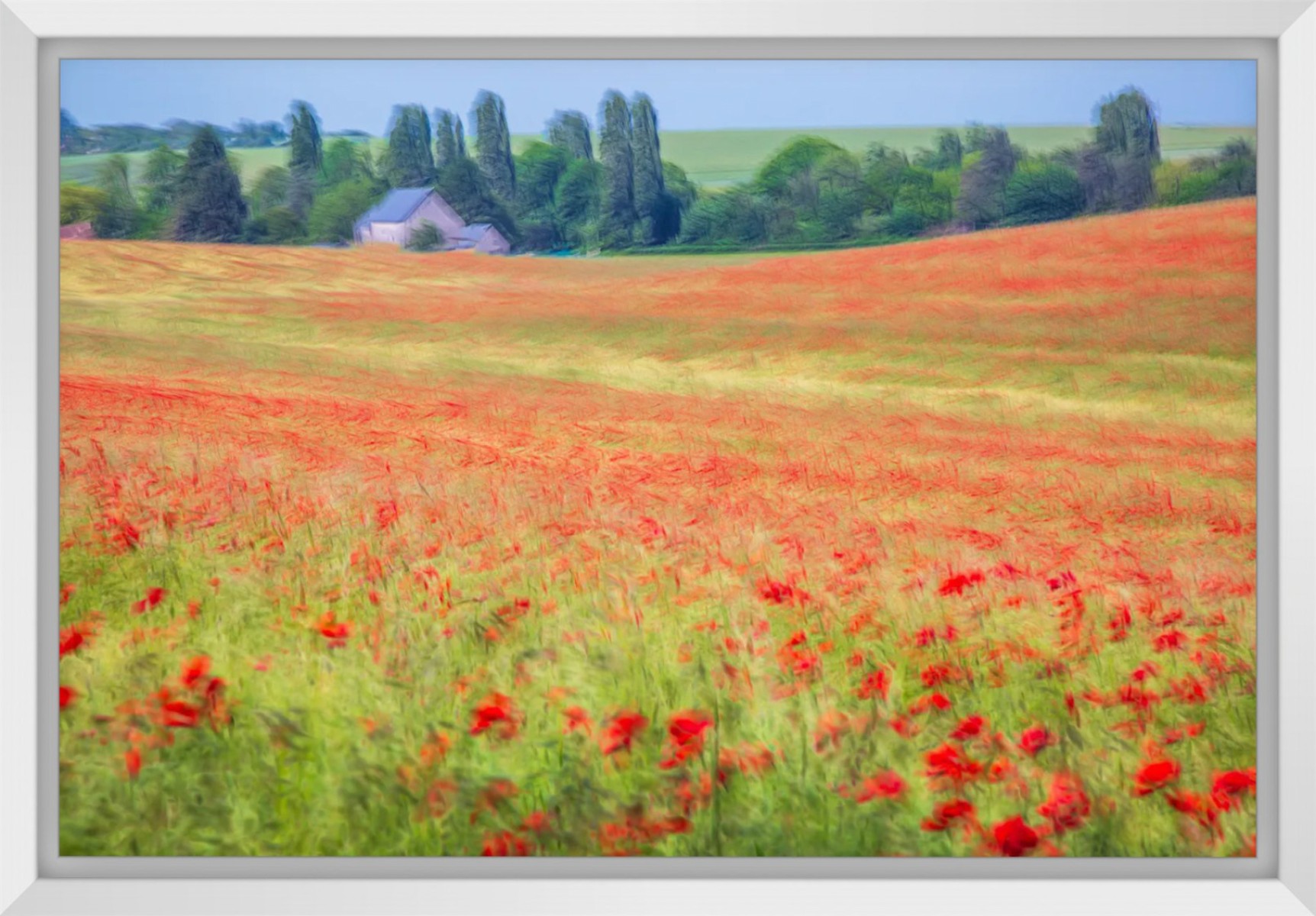 Les coquelicots I, de Fan LI The Art Cycle