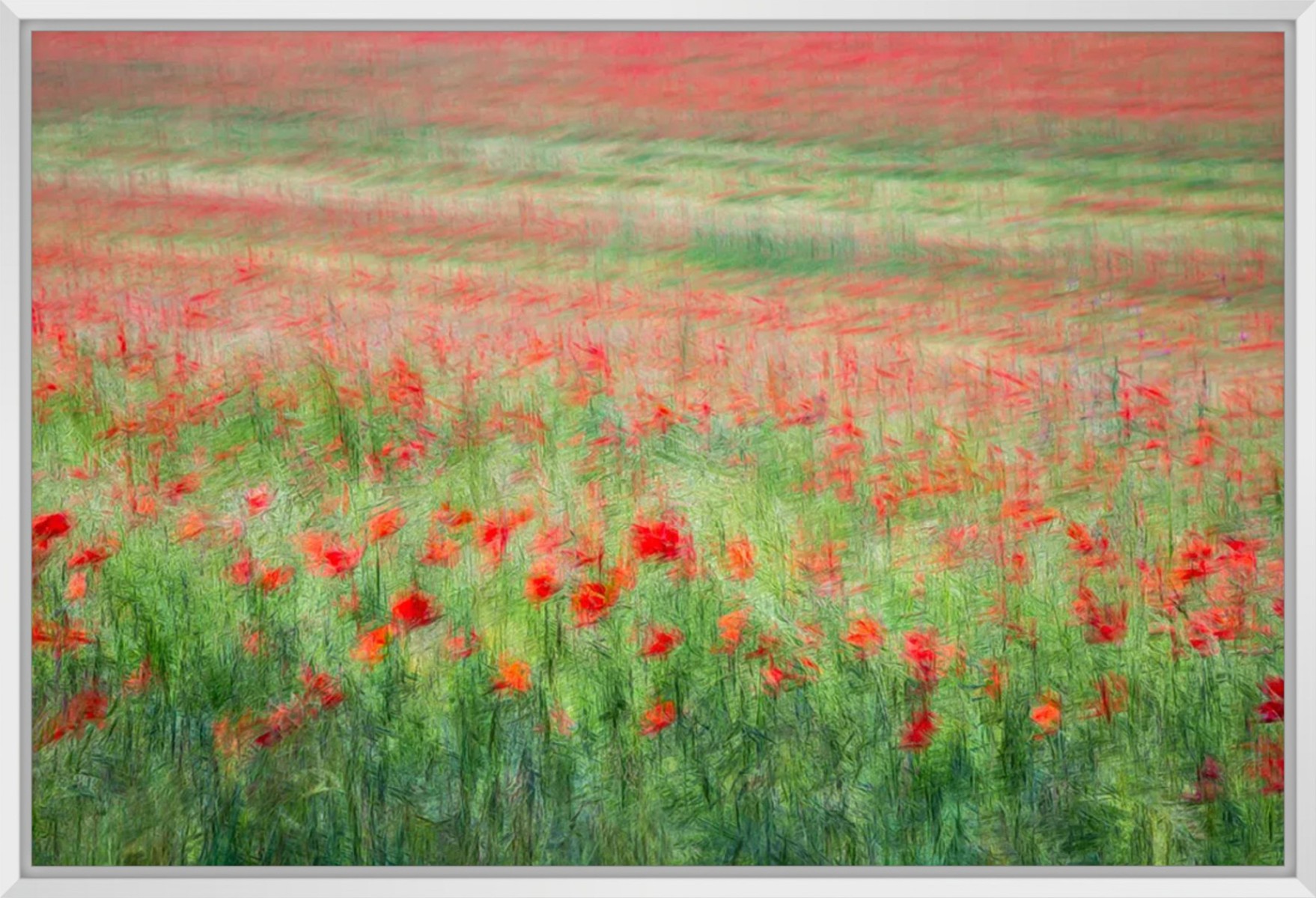 Les coquelicots II, de Fan LI The Art Cycle