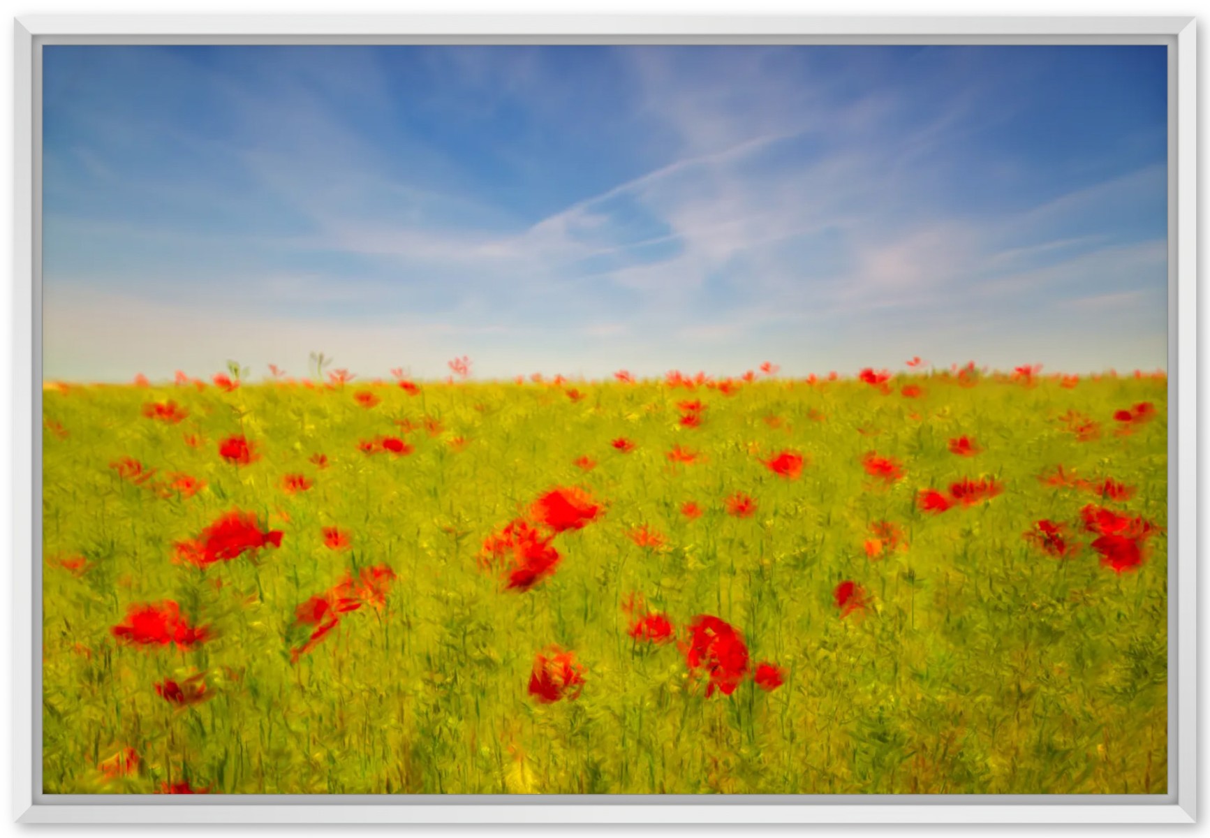 Les coquelicots, IV, de Fan LI The Art Cycle