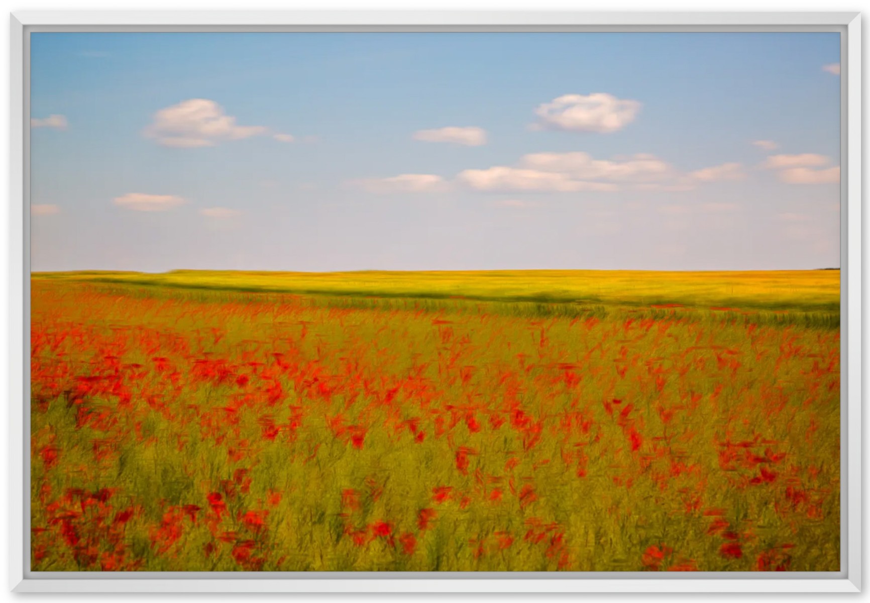 Les coquelicots, V, de Fan LI The Art Cycle