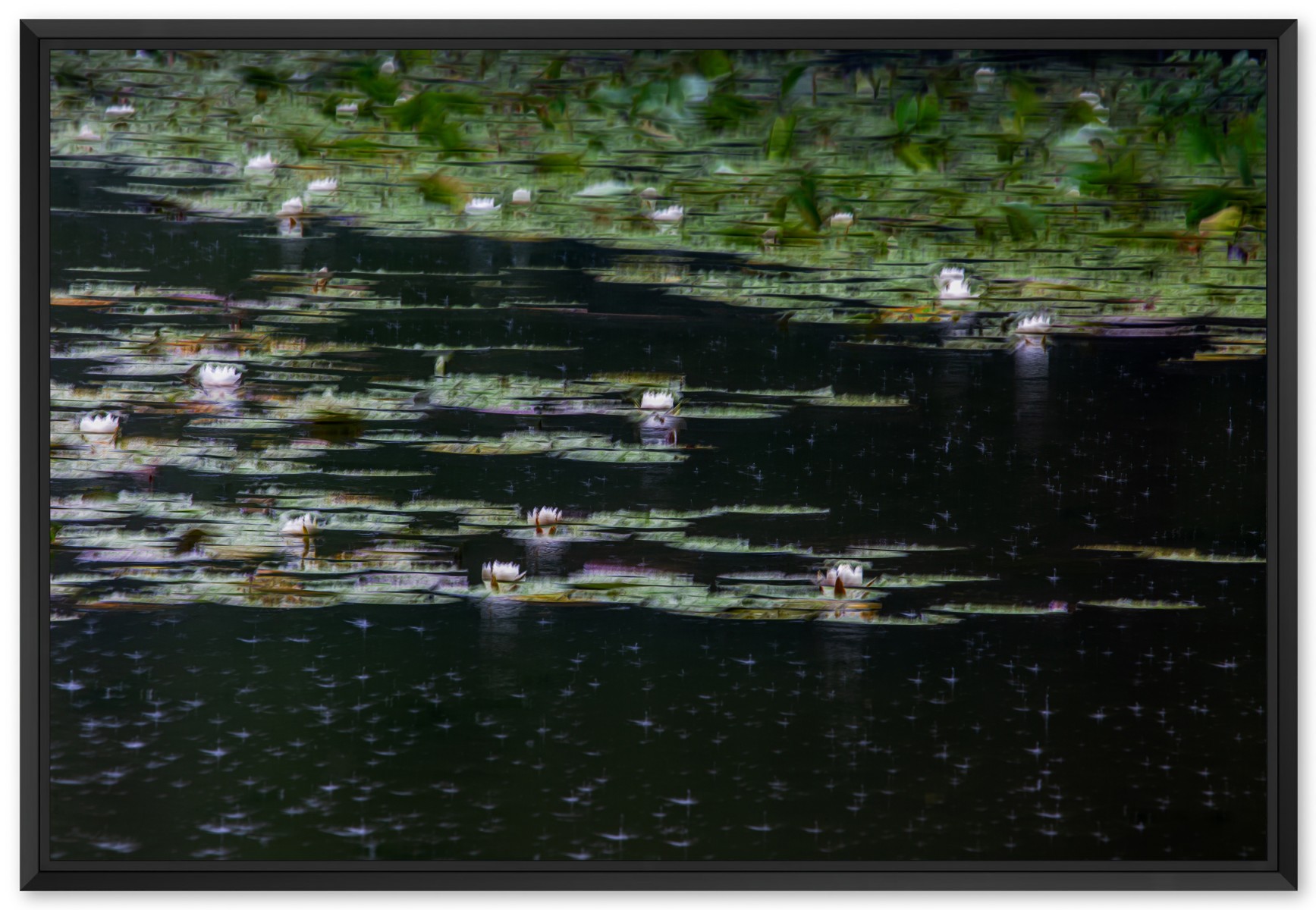 Les nénuphars : effet de la pluie, de Fan LI The Art Cycle