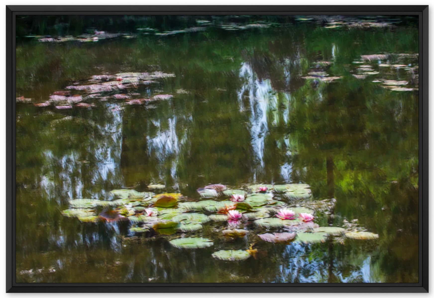 Les nénuphars effet du reflet, de Fan LI The Art Cycle