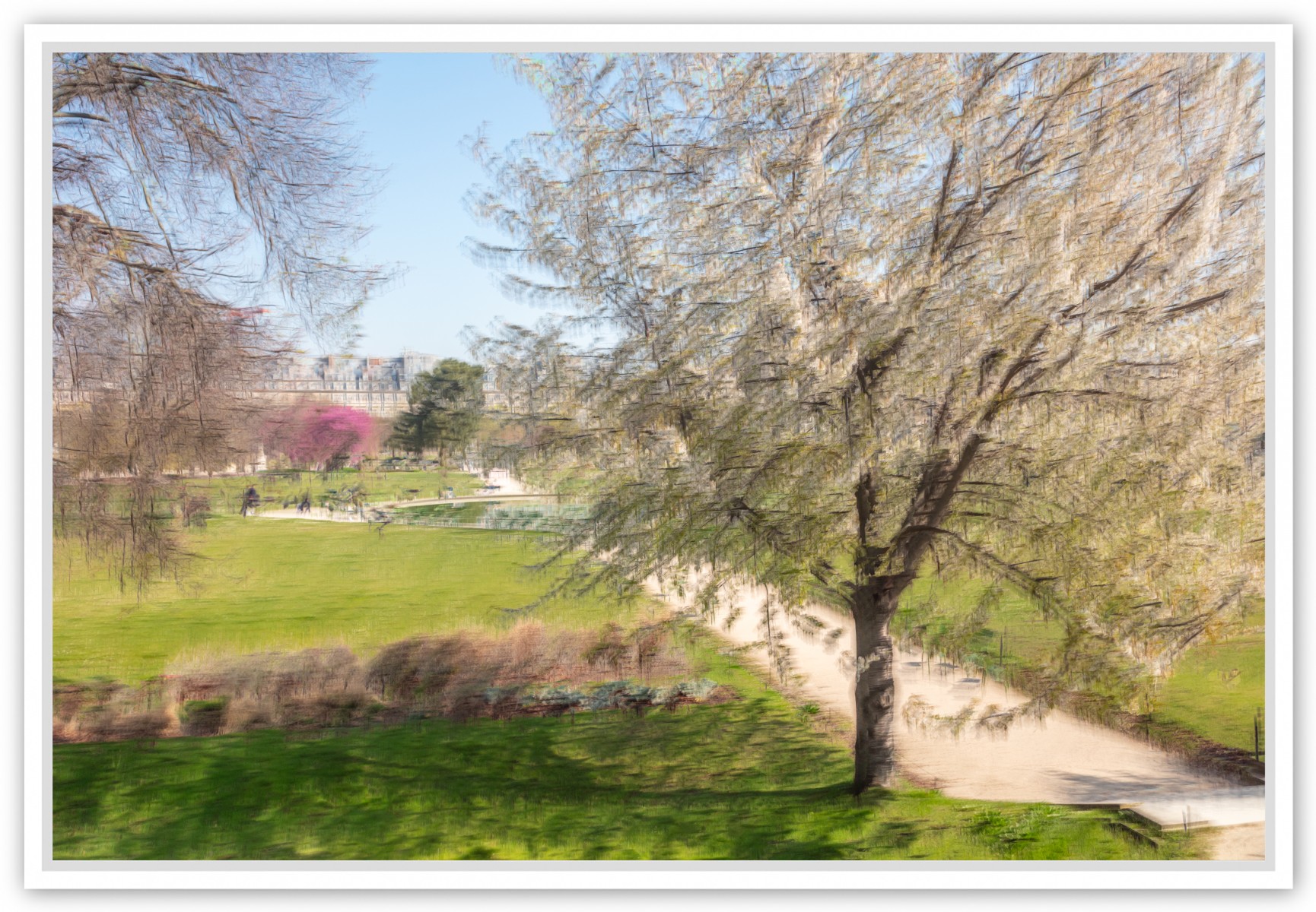Printemps à Paris, Jardin de Tuilerie, 2, de Fan LI The Art Cycle