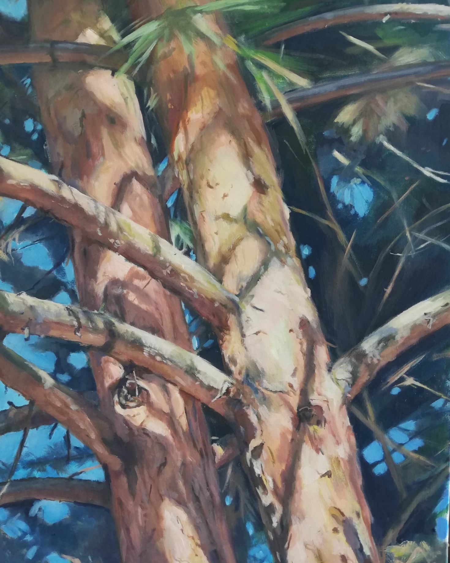 A travers les branches, de Florence Maussenet The Art Cycle