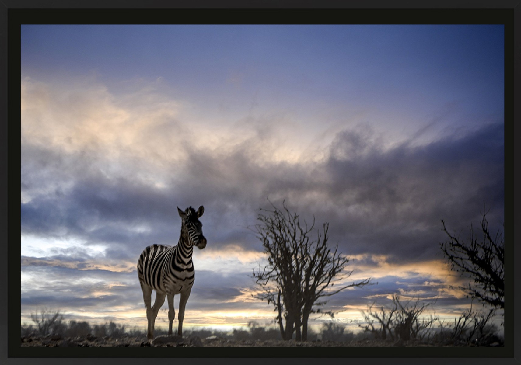 Coucher de soleil en Namibie, de Franck Nemni The Art Cycle