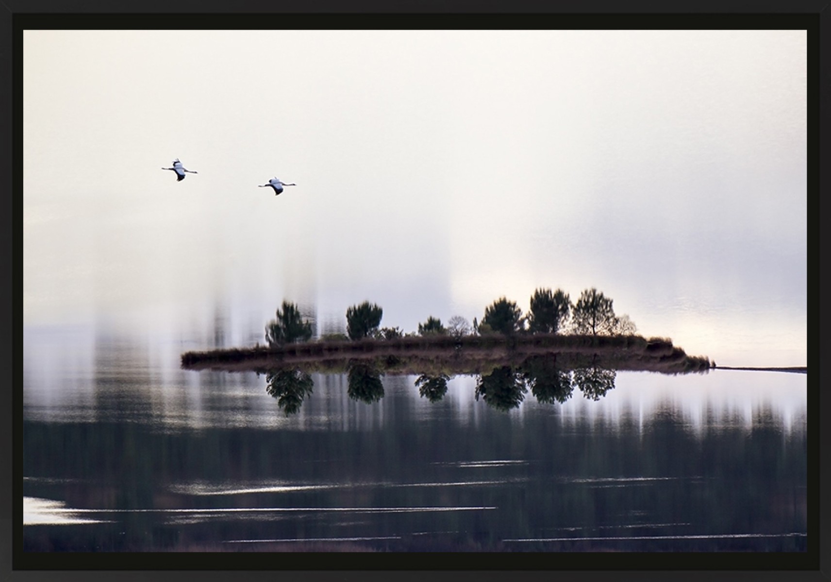 Ile aux grues cendrées, de Franck Nemni The Art Cycle