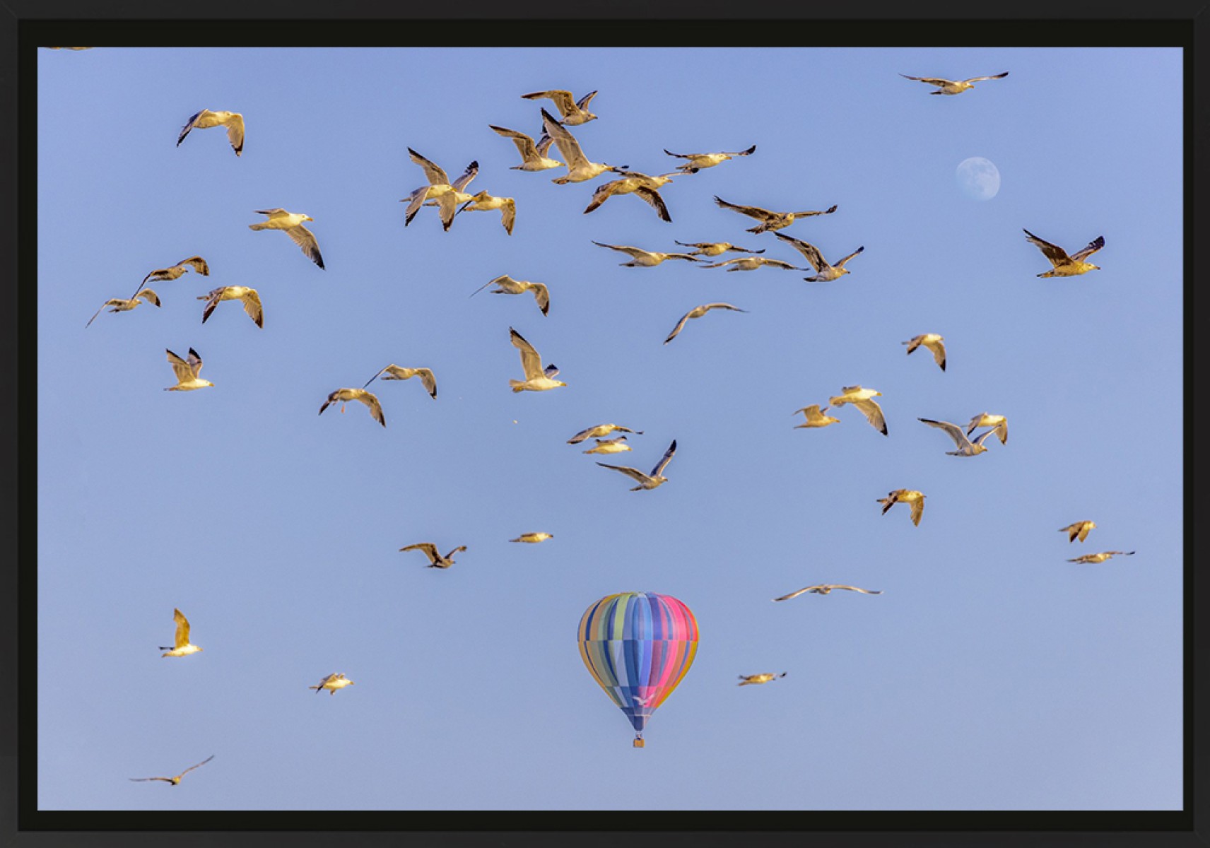 Le ballon, de Franck Nemni The Art Cycle