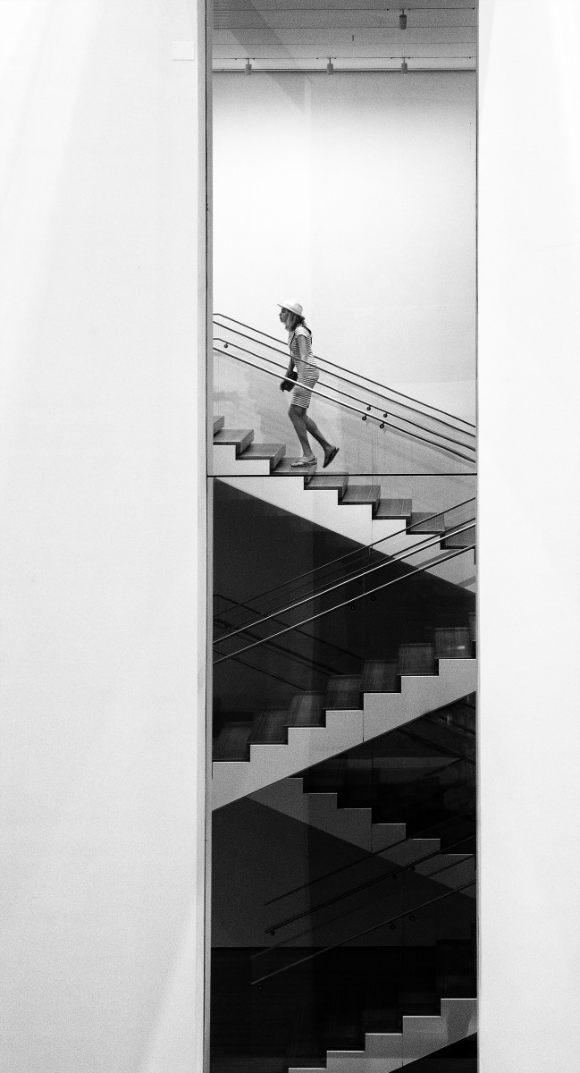 MOMA, de Franck Nemni The Art Cycle