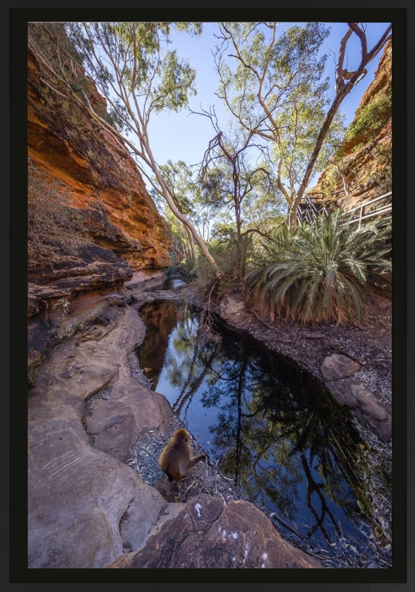 Oasis de couleurs, de Franck Nemni The Art Cycle