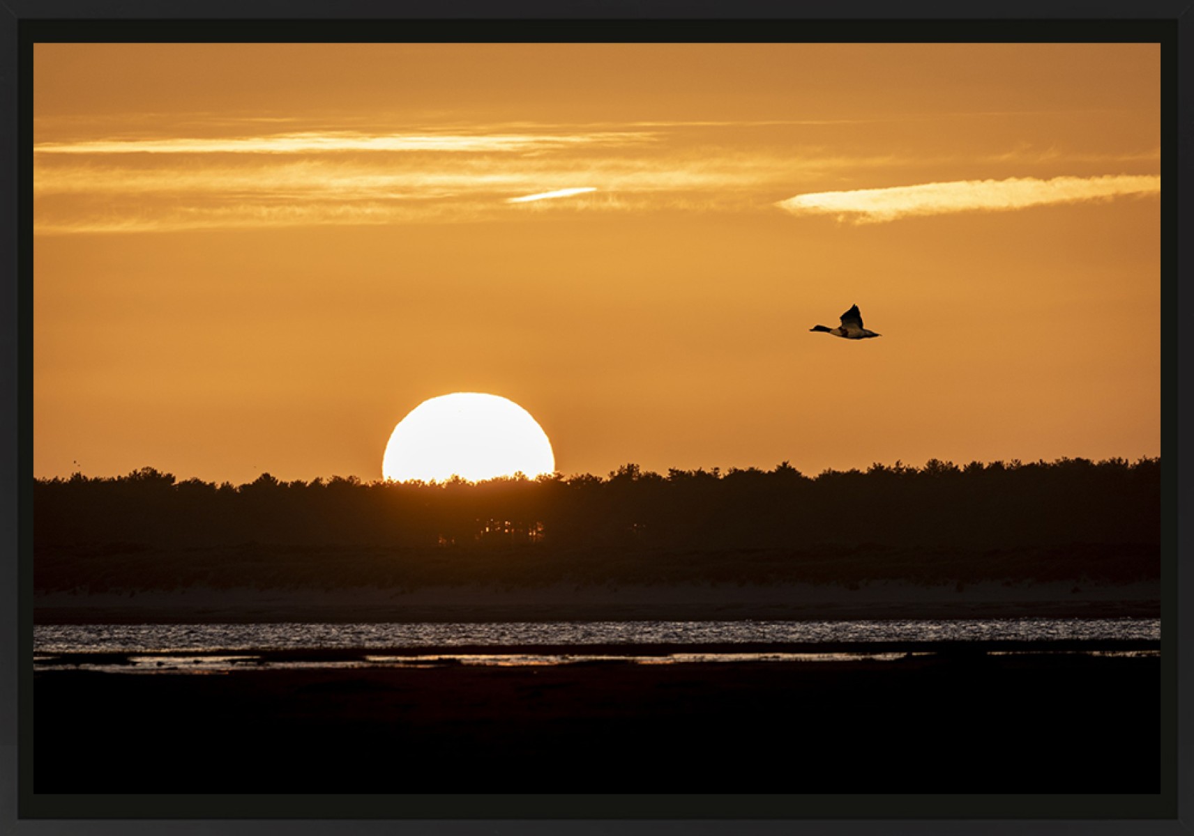 Sunset et le canard, de Franck Nemni The Art Cycle