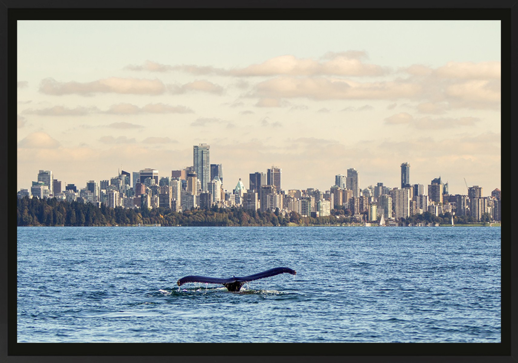 Vancouver, de Franck Nemni The Art Cycle