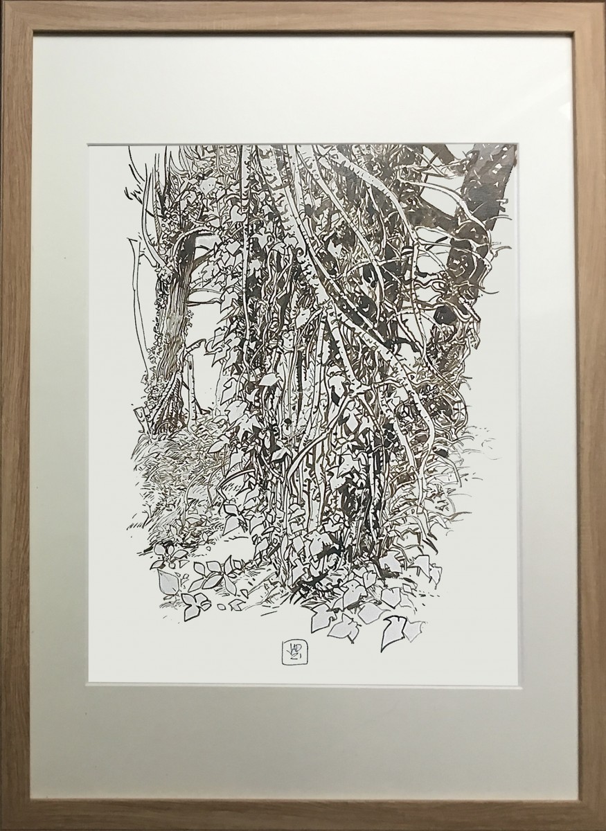 francois_jadraque laseveserebiffe theartcycle photo_principale 400312705.jpeg The Art Cycle