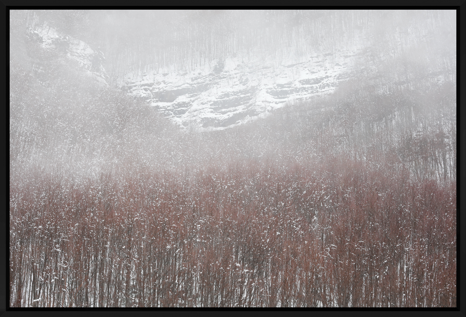 fredbucheton dancinginthemist photographie paysage theartcycle photo_principale.jpg The Art Cycle
