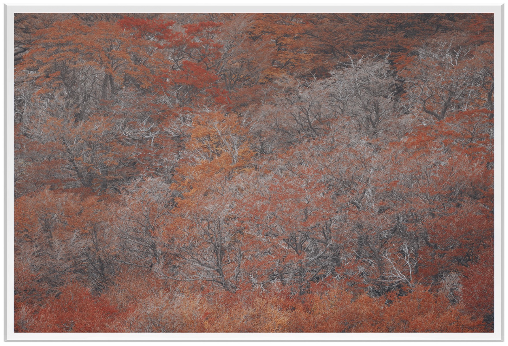 Eden, de Fred Bucheton The Art Cycle