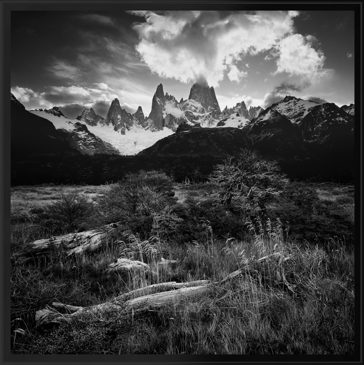 Eruption, de Fred Bucheton The Art Cycle