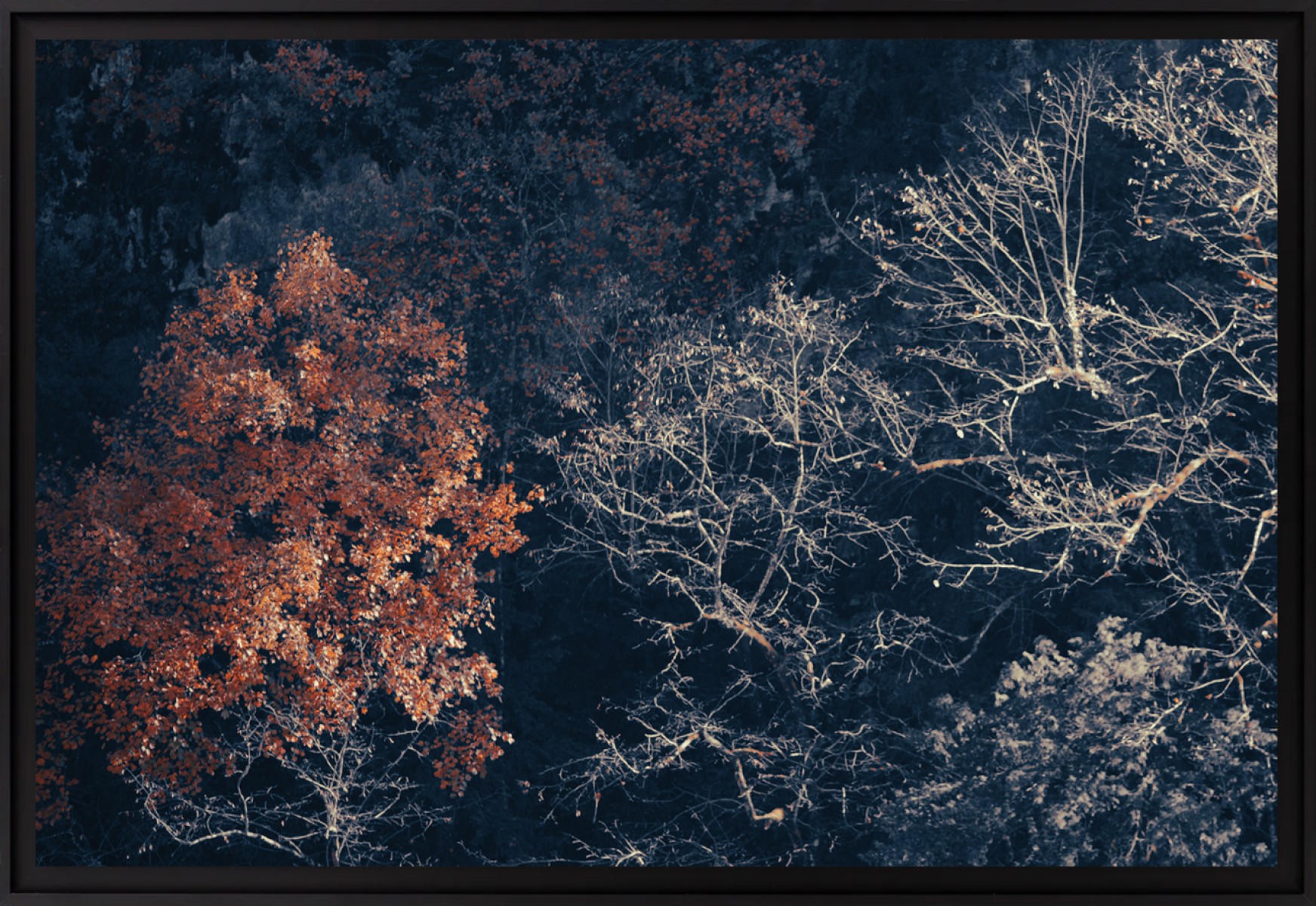 In my secret life, de Fred Bucheton The Art Cycle