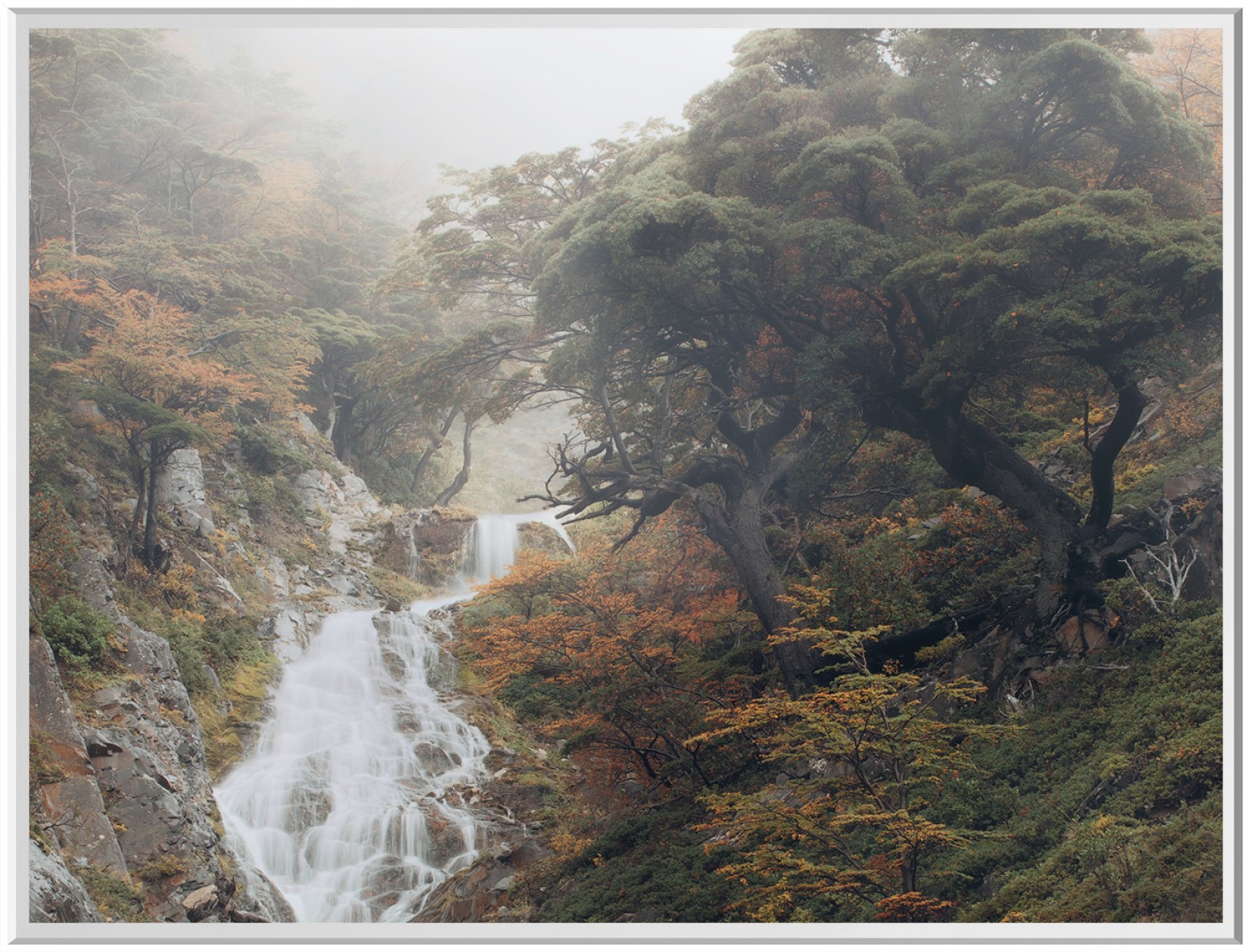 Into the wild , de Fred Bucheton The Art Cycle