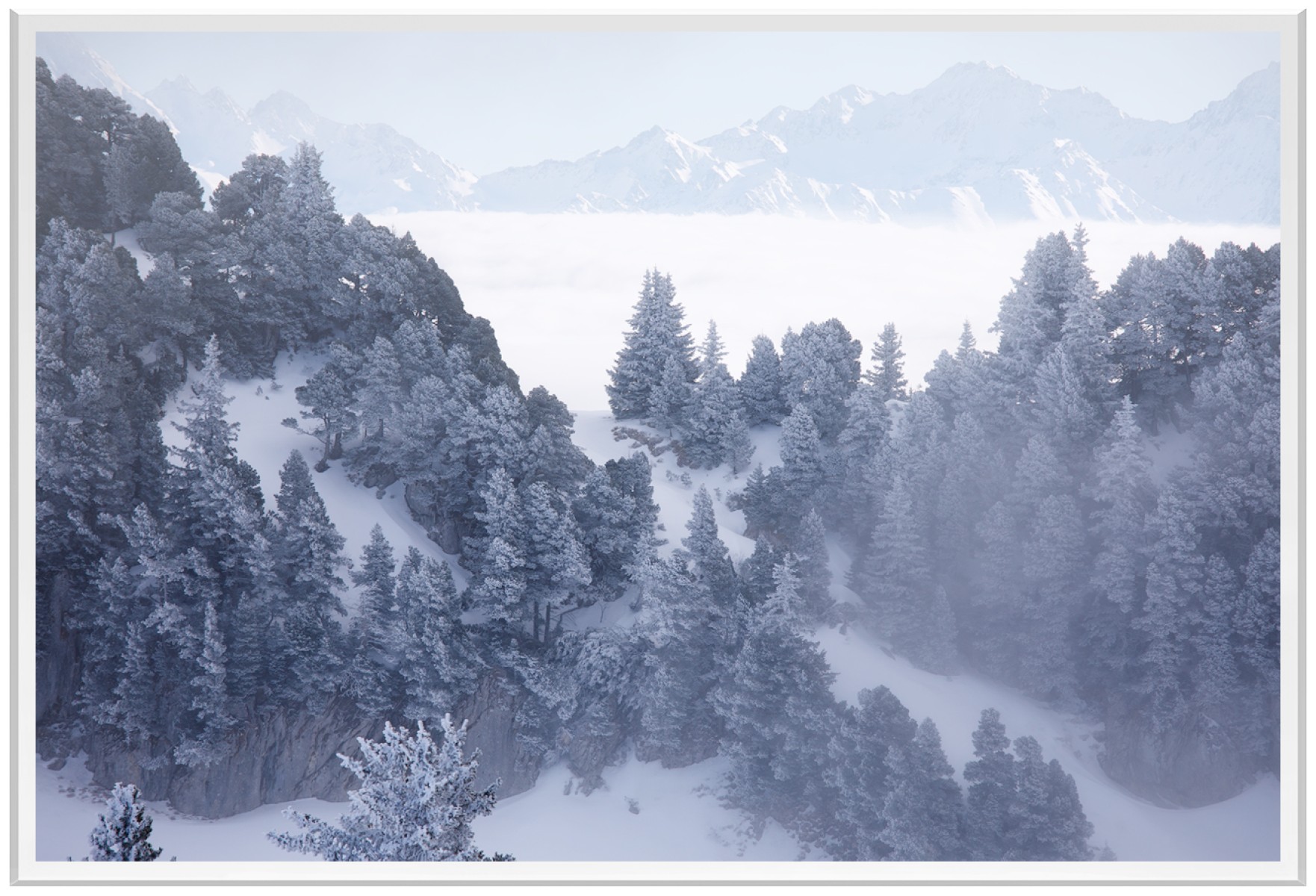 Jardin d'hiver, de Fred Bucheton The Art Cycle