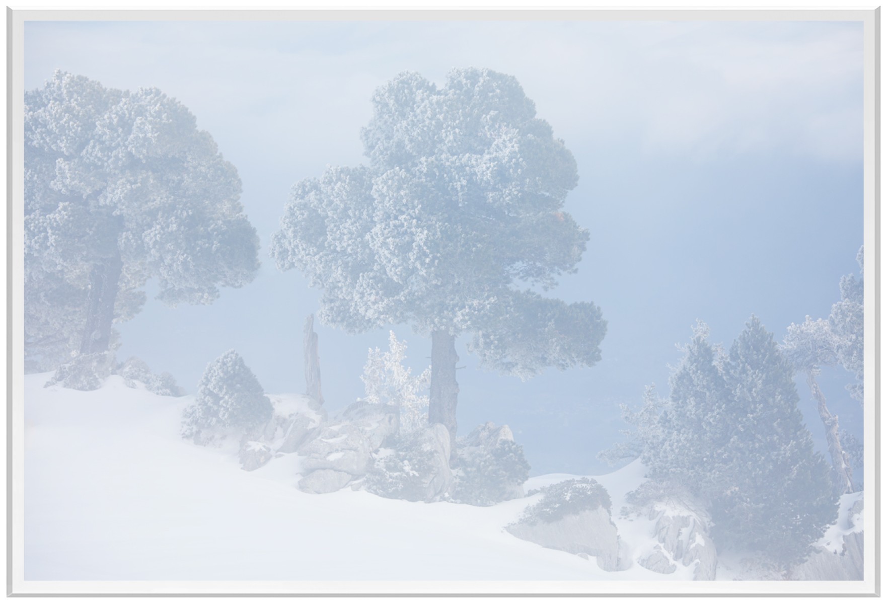 Reunited, de Fred Bucheton The Art Cycle