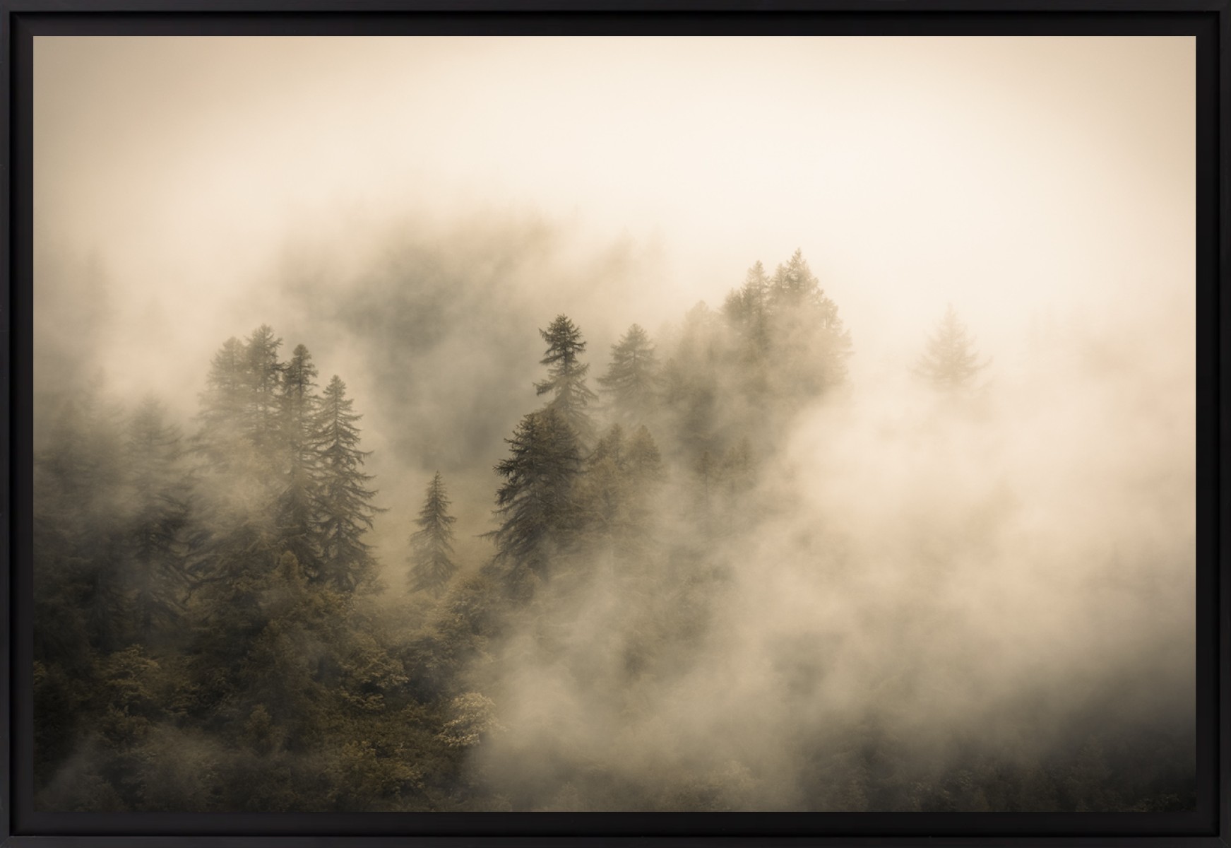 Youth man, de Fred Bucheton The Art Cycle