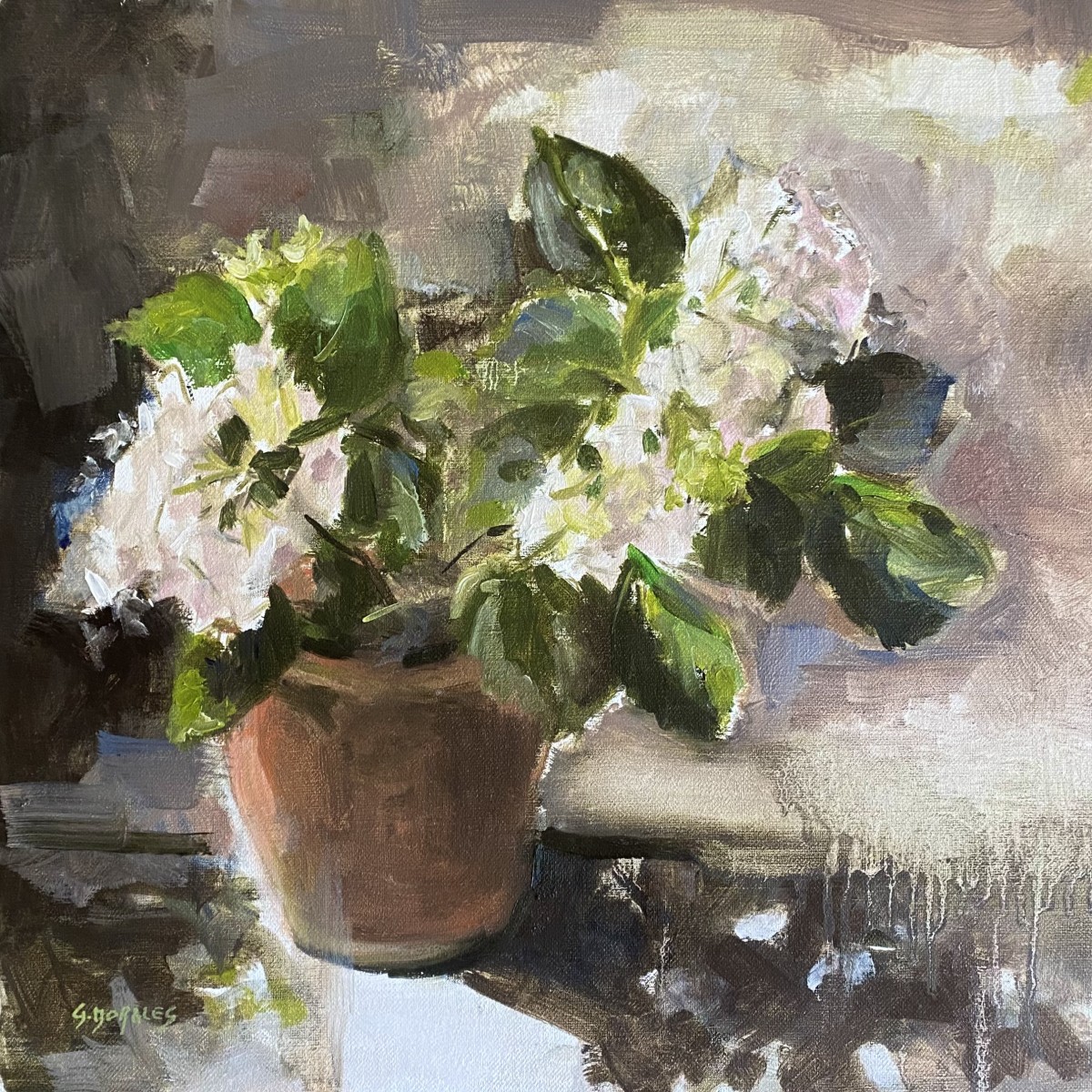 Hortensia blanc en pot, de Géraldine Moralès The Art Cycle