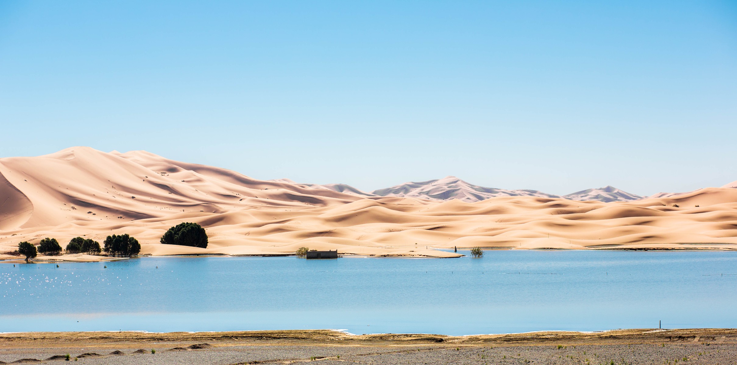 Miracle in the desert, de Hei The Art Cycle