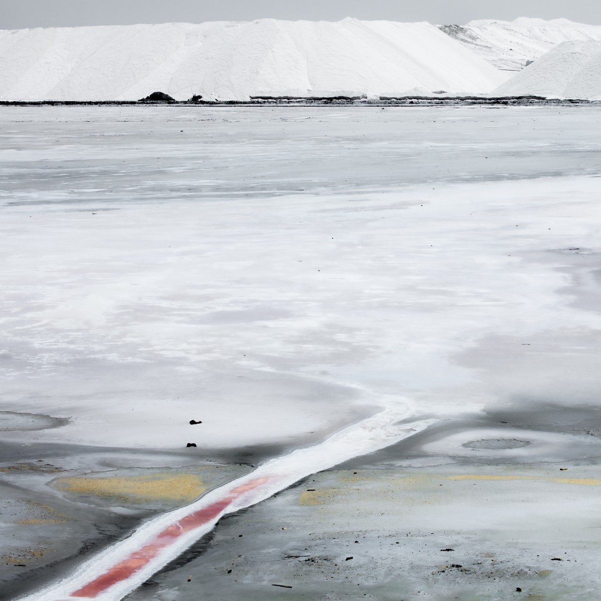 Salted land #4, de Hei The Art Cycle