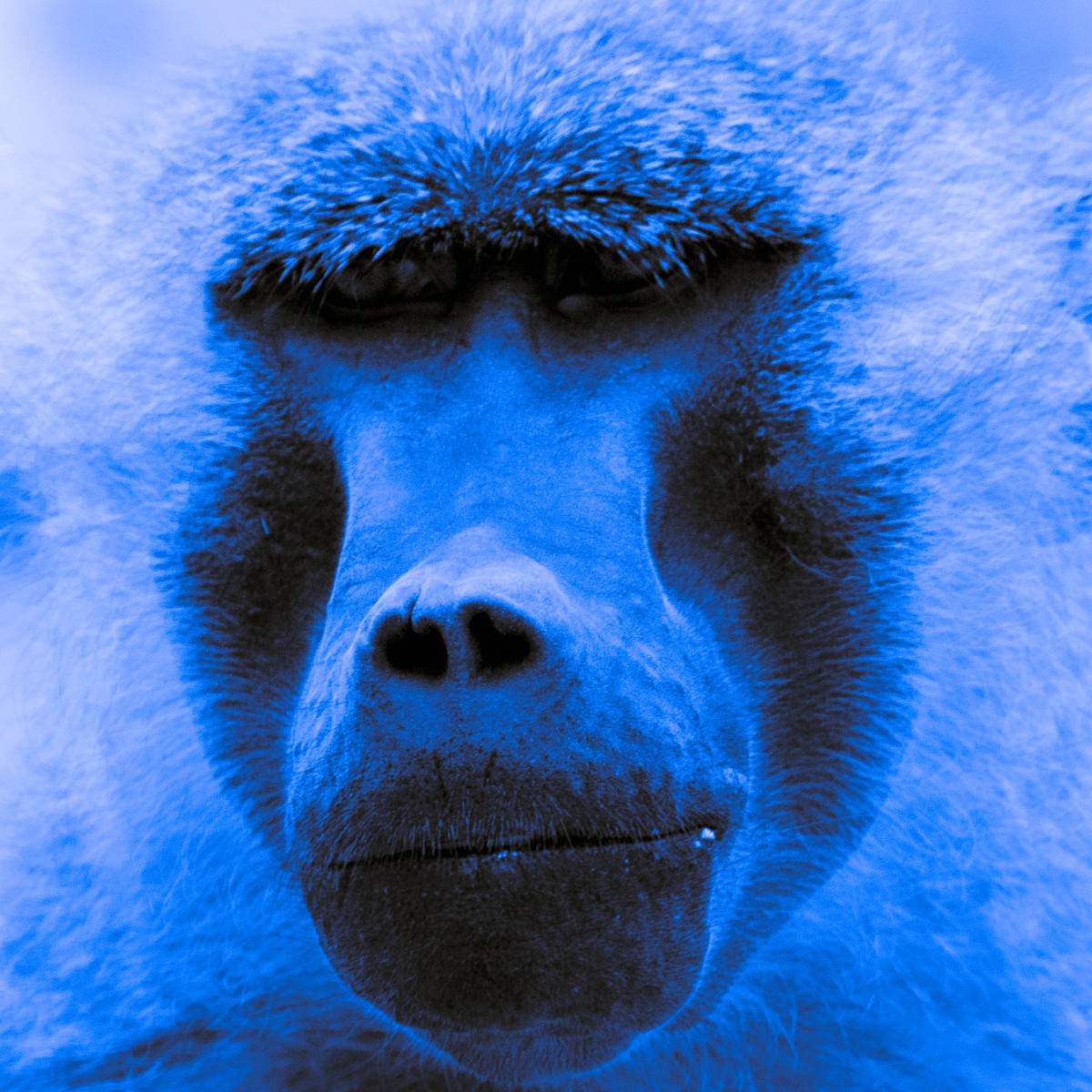 Un regard certain #2, de Hei The Art Cycle