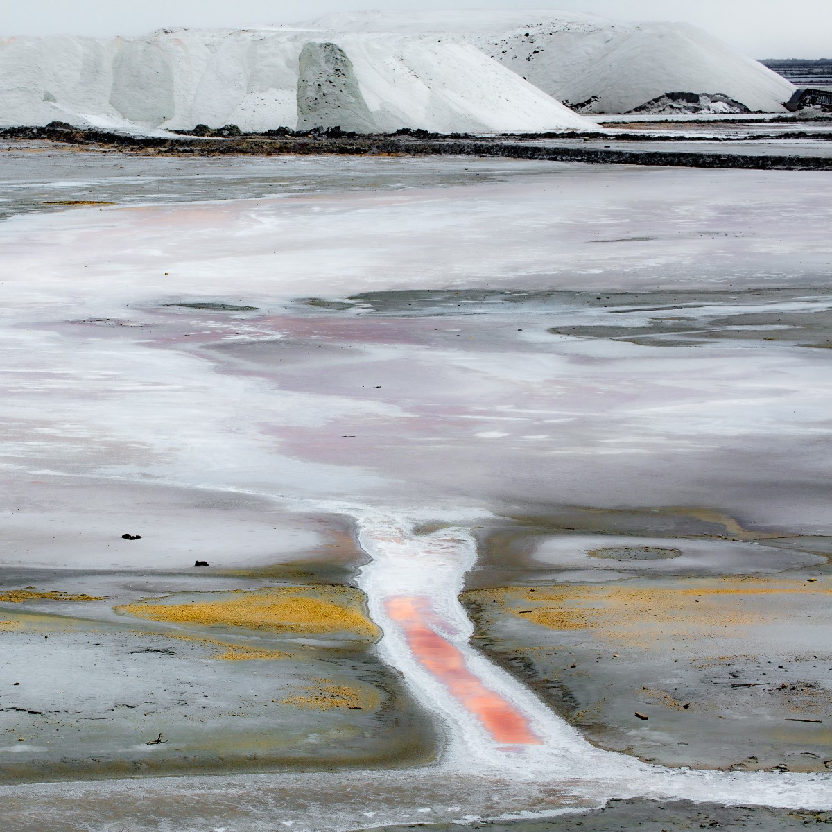 Salted land, de Hei The Art Cycle
