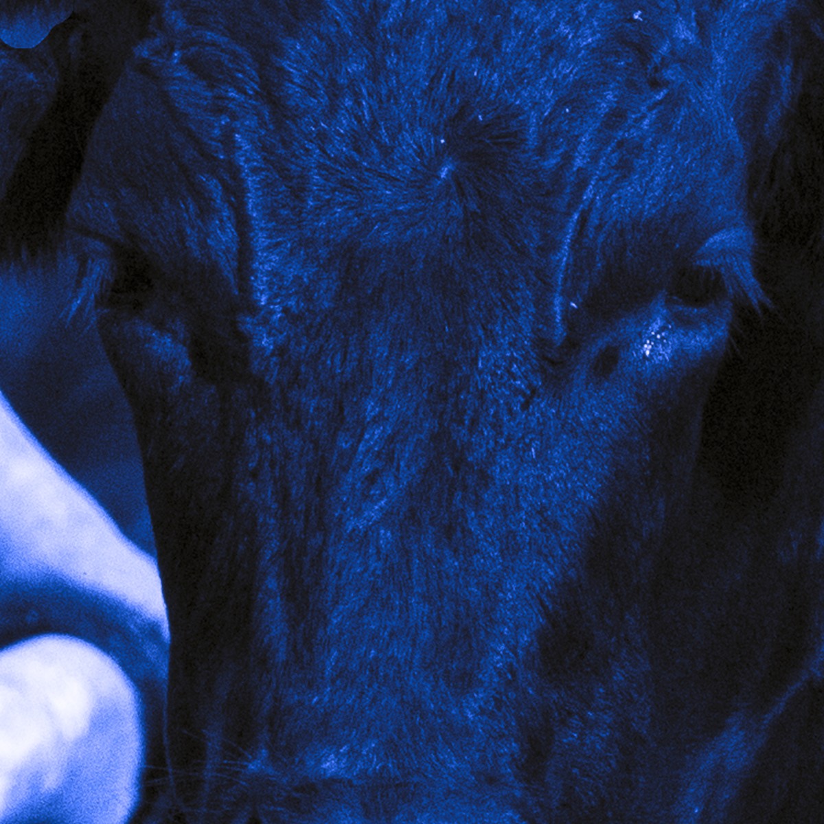 Un regard certain, de Hei The Art Cycle
