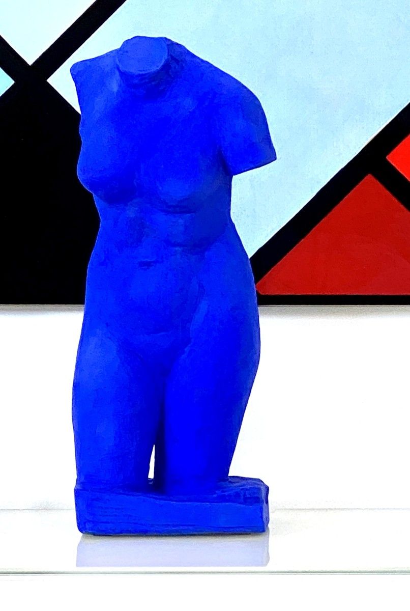 hiamdemeulenaere venusbleue theartcycle photo_situation 1964386185.jpeg The Art Cycle