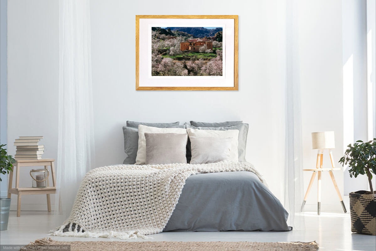 jacquesbravo amandiersenfleursatafraoutemaroc photographie paysage theartcycle photo_situation.jpg The Art Cycle