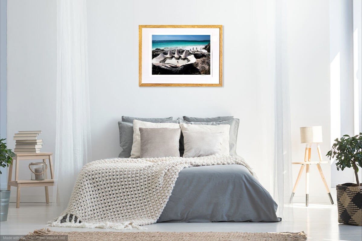jacquesbravo benitiersgeantssurlaplagedujardindeden photographie paysage theartcycle photo_situation.jpg The Art Cycle