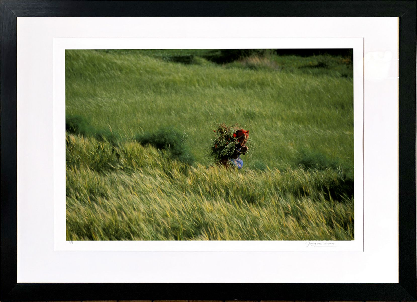 jacquesbravo bergeredanslesherbes theartcycle photo_secondaire 387709469.jpeg The Art Cycle