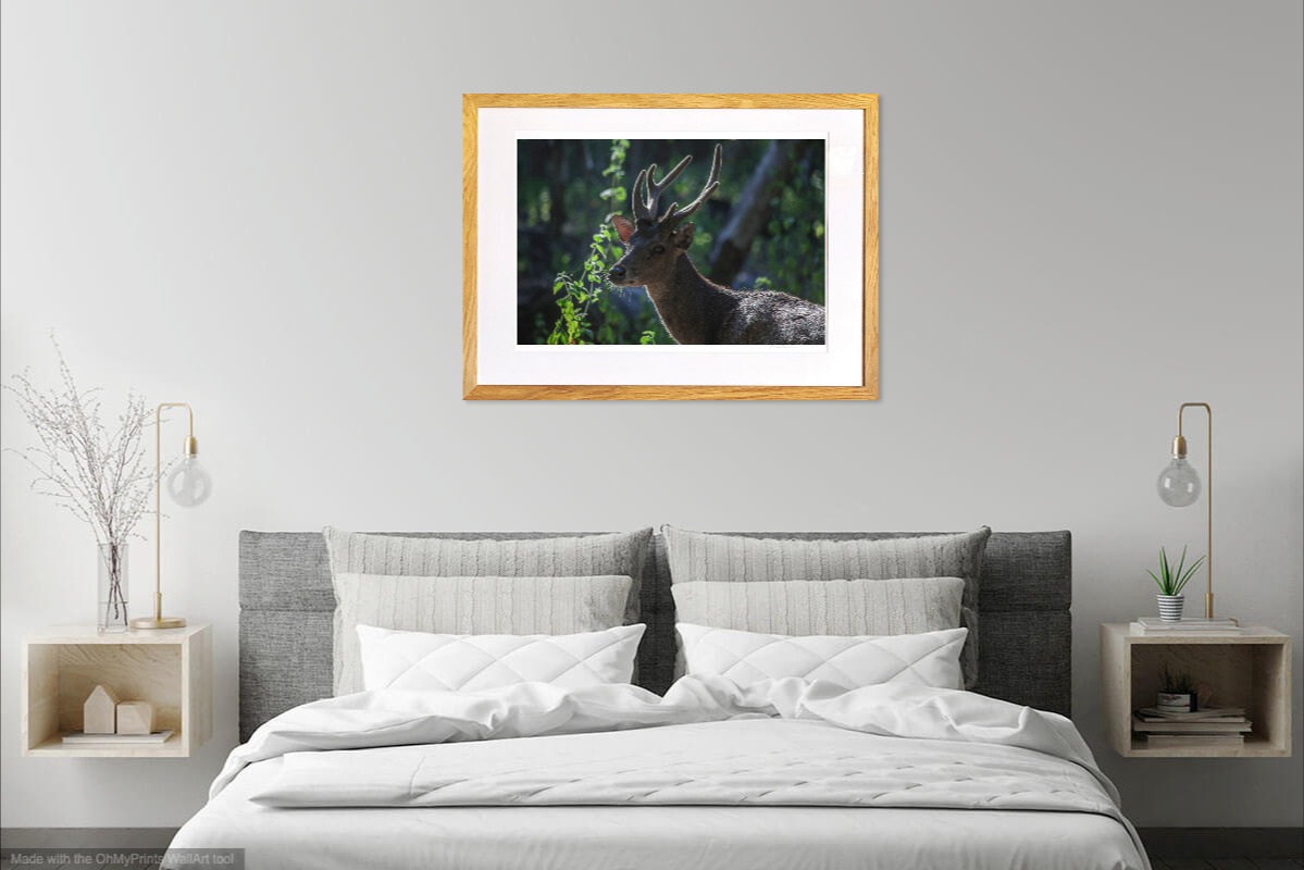 jacquesbravo bichesurliledekomodo photographie scene_de_vie theartcycle photo_situation.jpg The Art Cycle