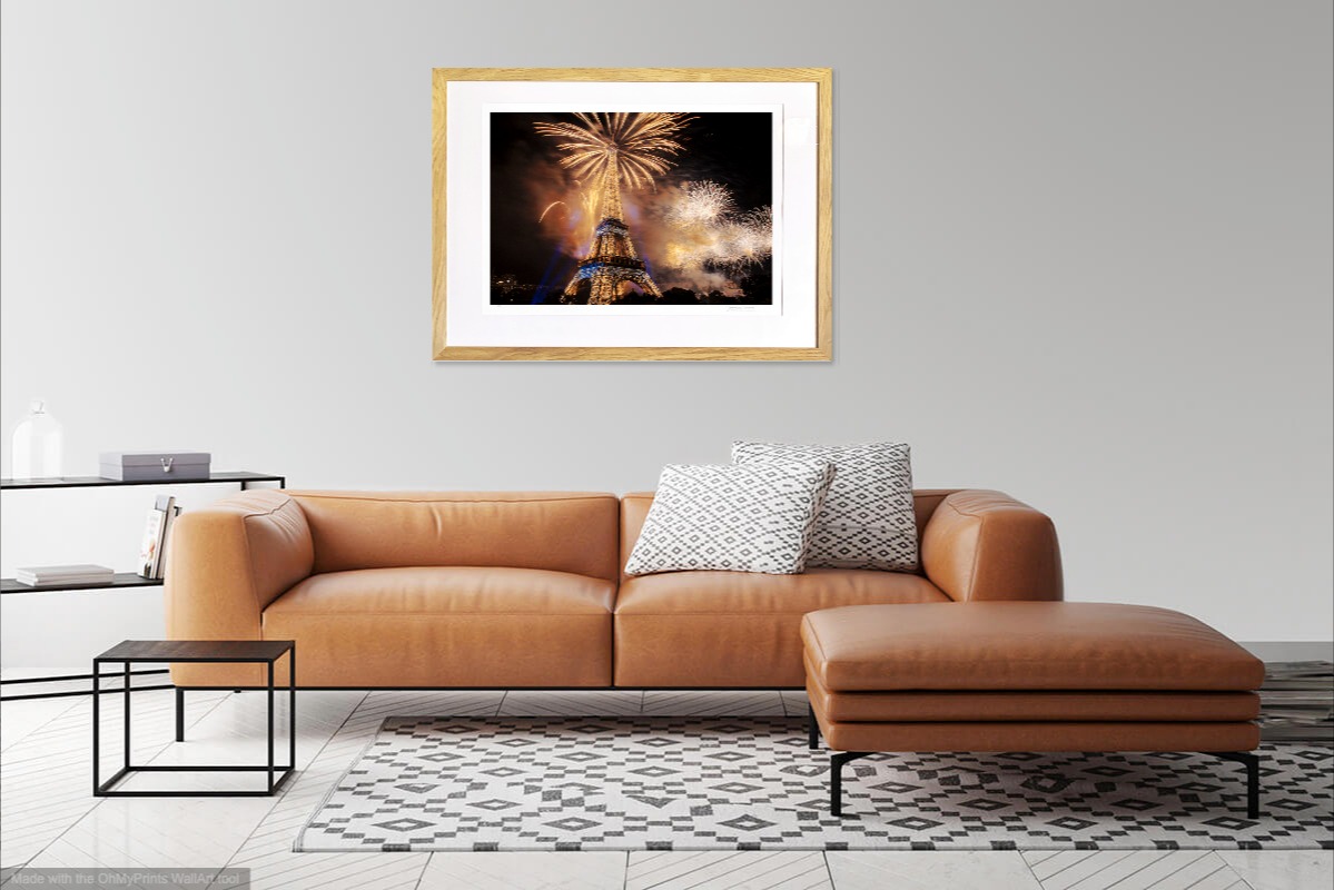 jacquesbravo feuxdartificesalatoureiffel photographie paysage theartcycle photo_situation.jpg The Art Cycle
