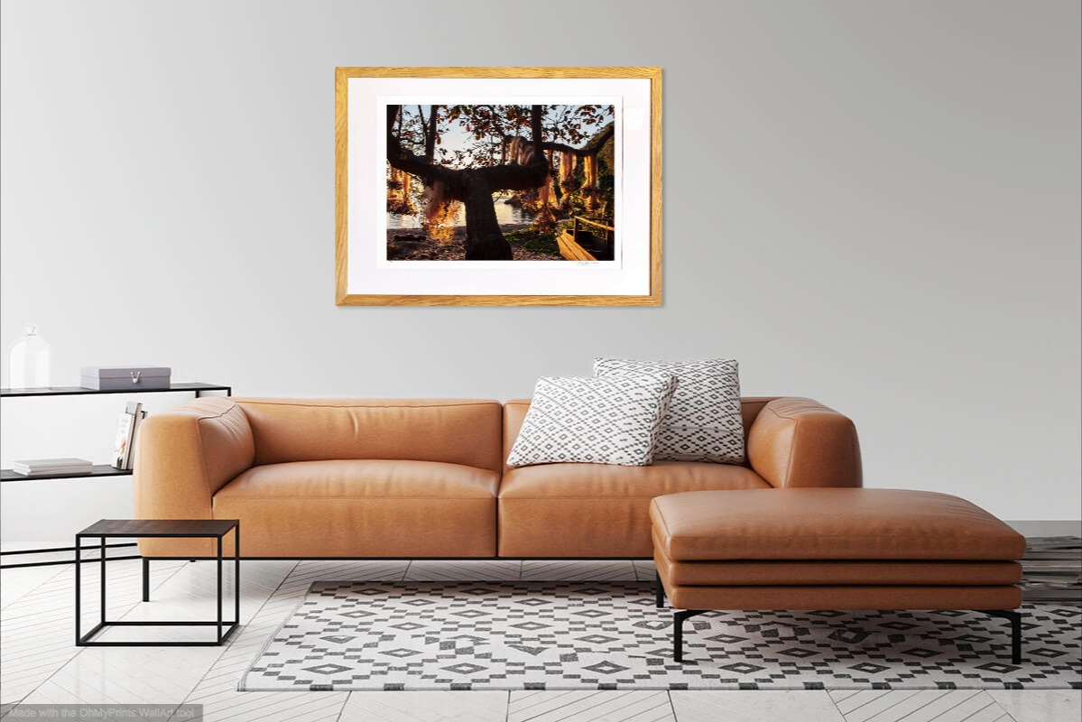 jacquesbravo filetsdepechesechantsurlesarbres photographie paysage theartcycle photo_situation.jpg The Art Cycle