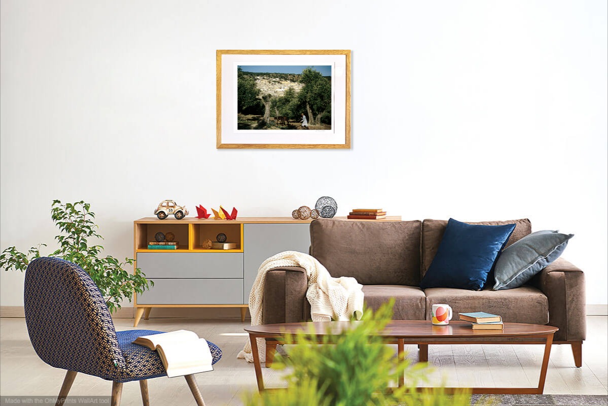 jacquesbravo lelaboureursouslesoliviers photographie scene_de_vie theartcycle photo_situation.jpg The Art Cycle