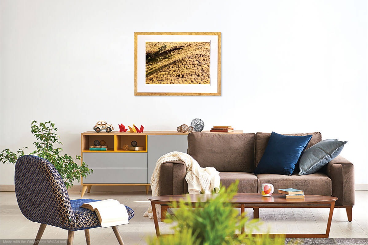 jacquesbravo liledesertedebanta photographie paysage theartcycle photo_situation.jpg The Art Cycle