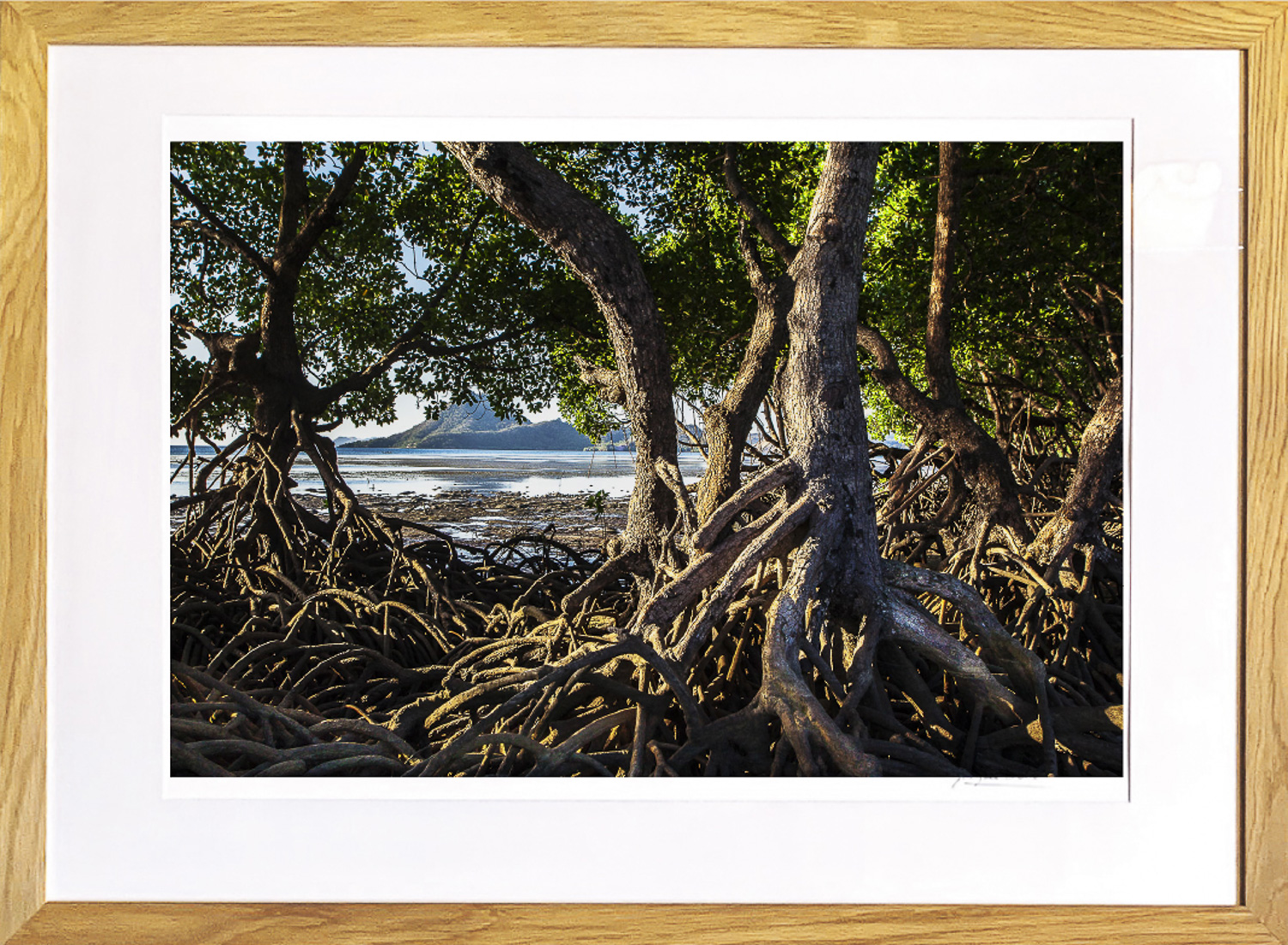 Mangrove à Rinca Desa, Petites iles de la So, de Jacques Bravo The Art Cycle