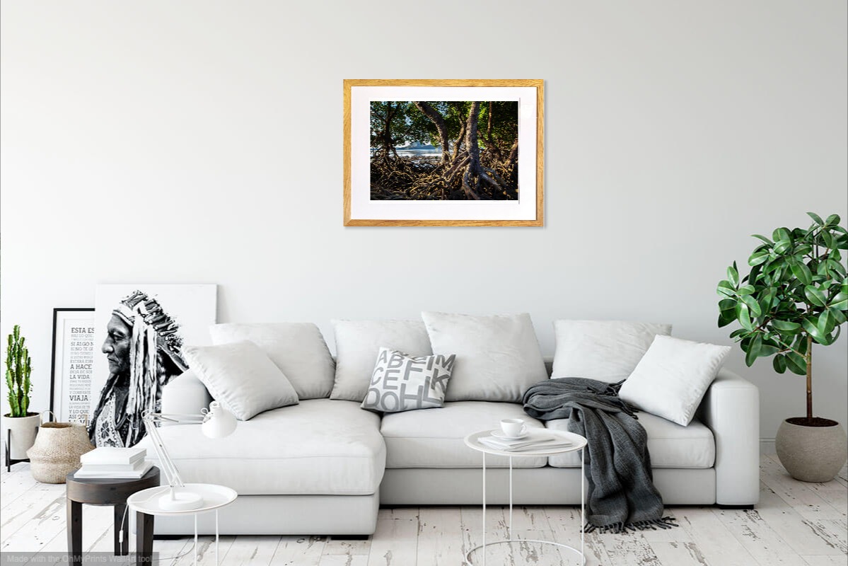 jacquesbravo mangrovearincadesapetitesilesdelasonde photographie paysage theartcycle photo_situation.jpg The Art Cycle