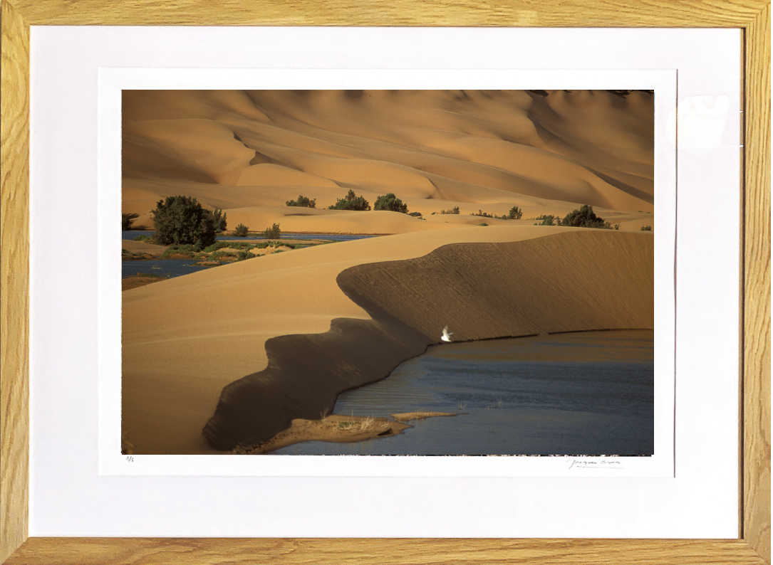 Oasis de Laayoune, Maroc, de Jacques Bravo The Art Cycle