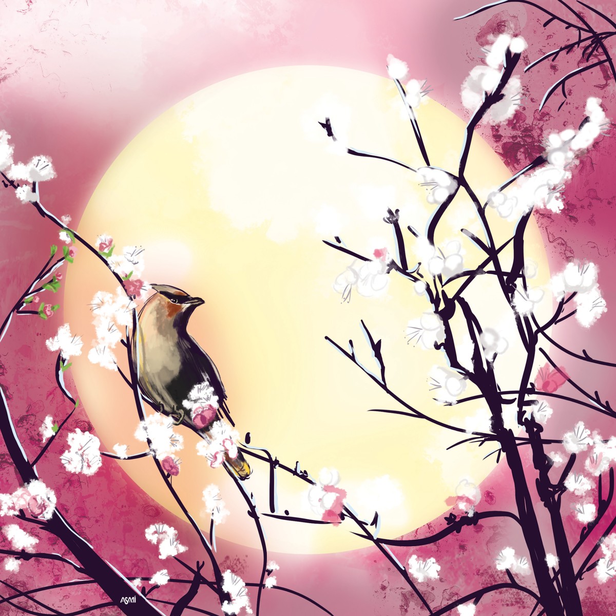 Jaseur et cerisier, de Asamijess The Art Cycle