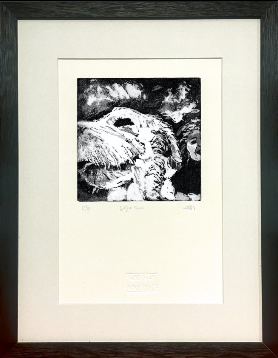 laurencedesaintmartin selfiecanin theartcycle photo_principale 227740615.jpeg The Art Cycle