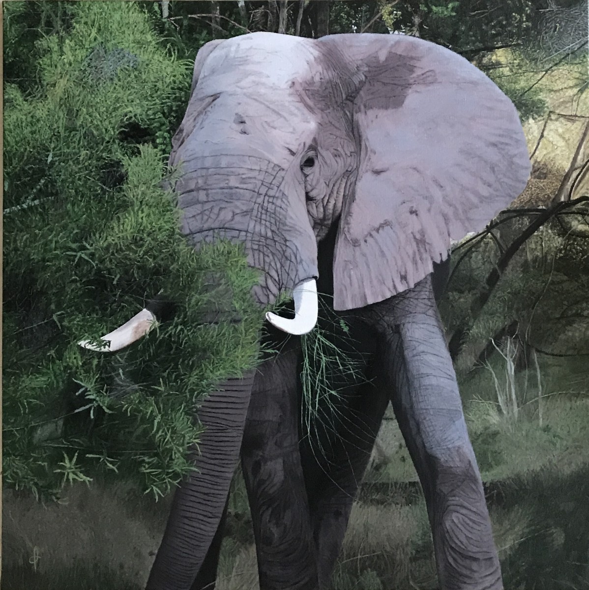 laurentcallen elephantavantlacharge theartcycle photo_principale 1922839480.jpeg The Art Cycle